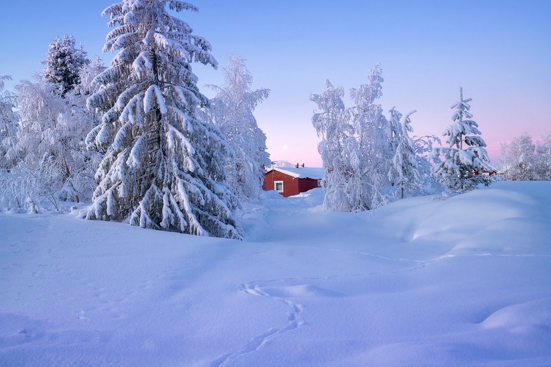 Начало весны фото превью