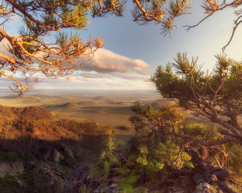Окно. фото превью