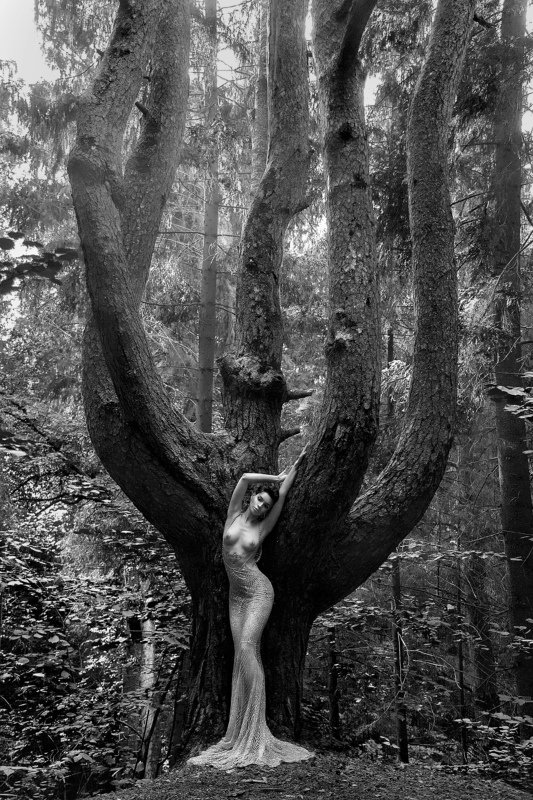 Там лес и дол видений полны...photo preview