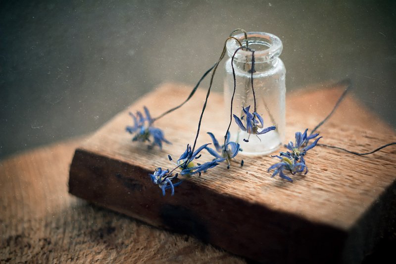 пролески, натюрморт, боке, цветы, брызги, вода, дерево, сухие, бутылка, банка, стекло, красивый, грусть Грустные цветыphoto preview