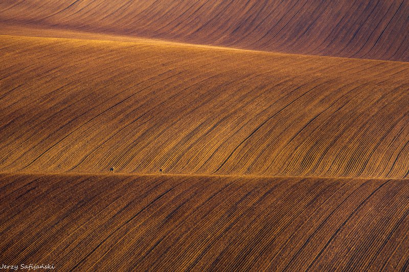 I walk around Moraviaphoto preview