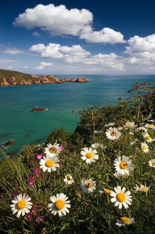 Spring in Guernsey фото превью