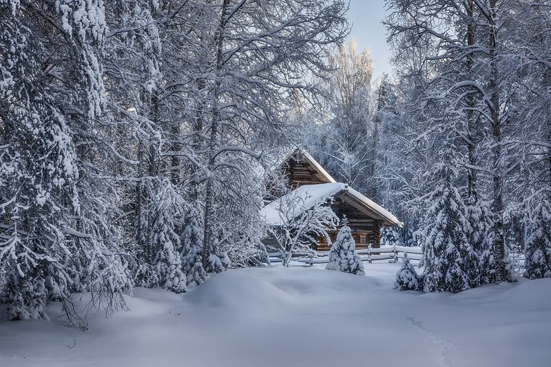 зима снег иней лес деревья елки сосны избушка изгородь сугробы следы В застывшем лесуphoto preview
