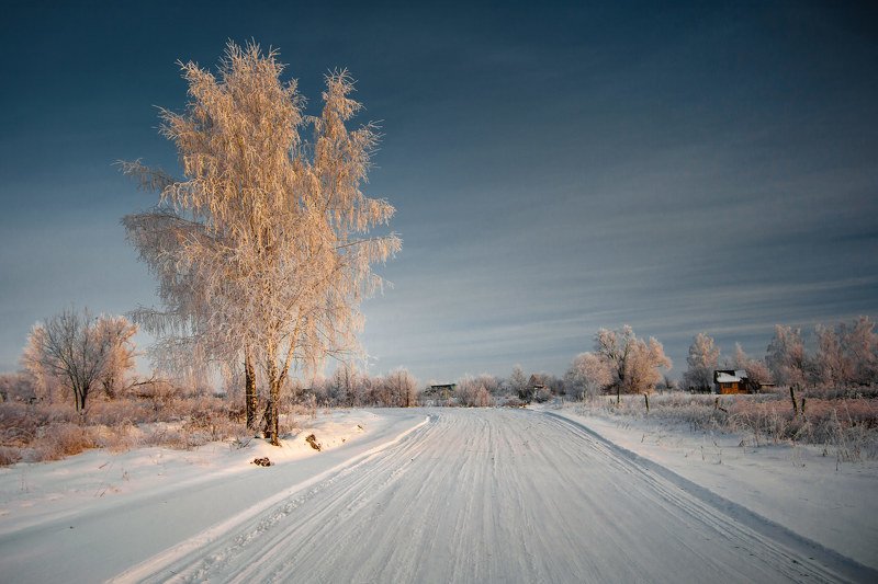 зима, дерево, береза, дорога Зимушкаphoto preview