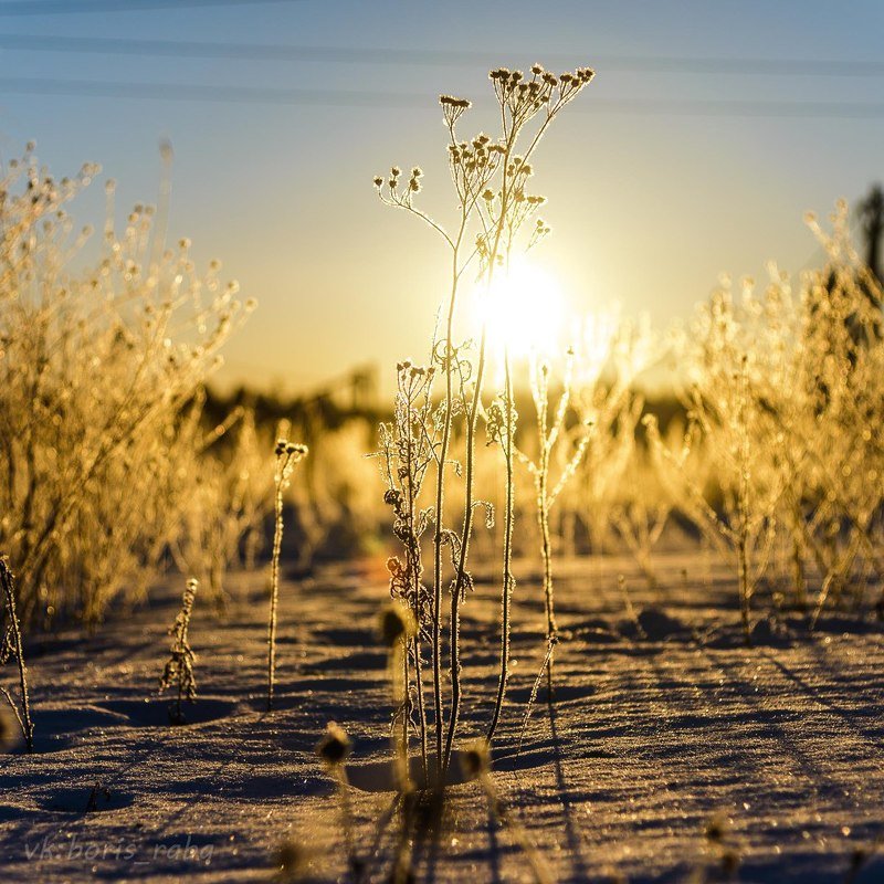 Морозное утроphoto preview