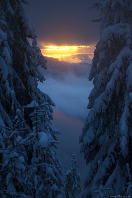 карпати, свидовець, карпаты, украина ***photo preview