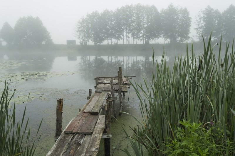 туман,лето,пейзаж,природа,фотография,ракурс,искусство,красота,фотограф,сергей корнев,украина,гадяч,река,река псел,водоём Утро в туманеphoto preview