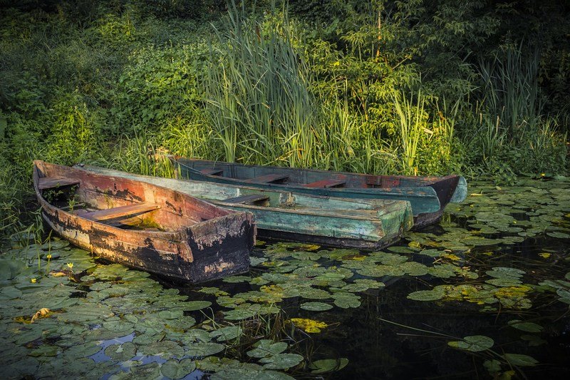 лодка,рассвет,свет,утро,лето,фотография,украина,гадяч,сергей корнев,красота,река,река псел Трио на рассветеphoto preview