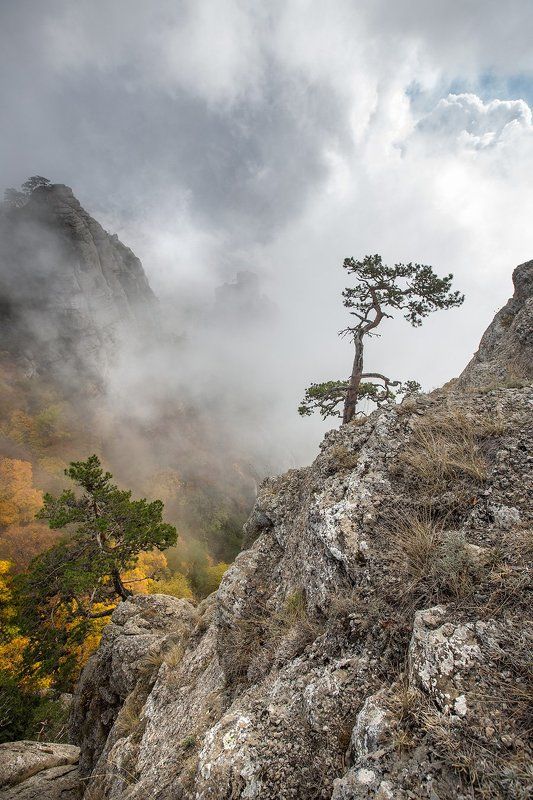 ДЕМЕРДЖИ...photo preview