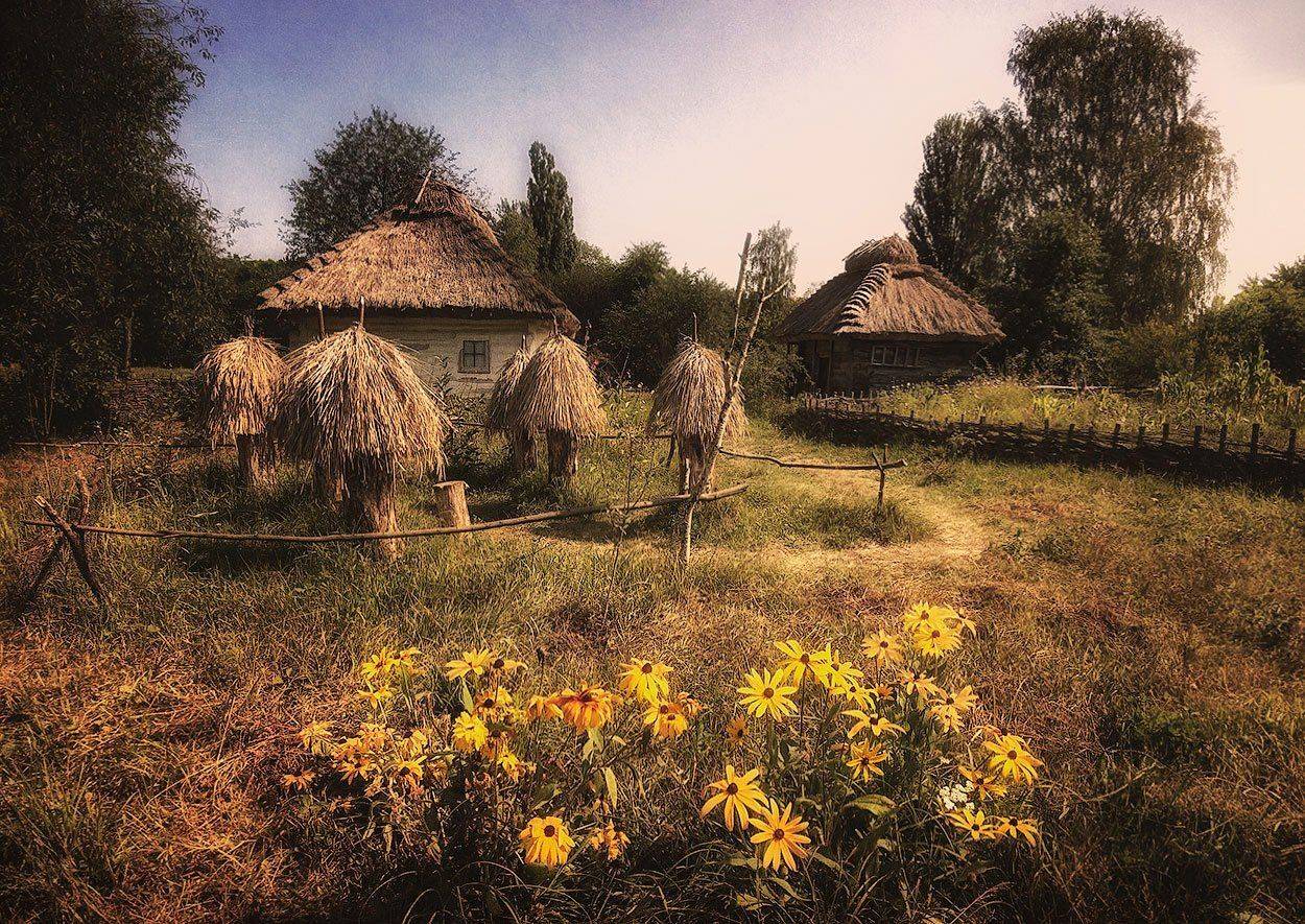 На зеленій Україні. Автор: Игорь Мелекесцев , Игорь Мелекесцев