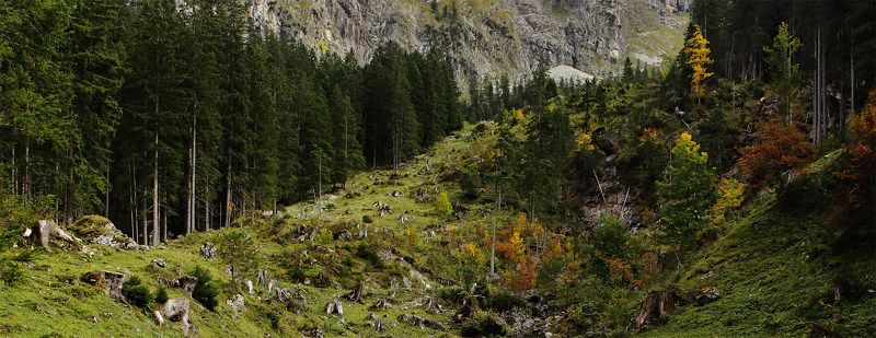 австрия, альпы,осень photo preview