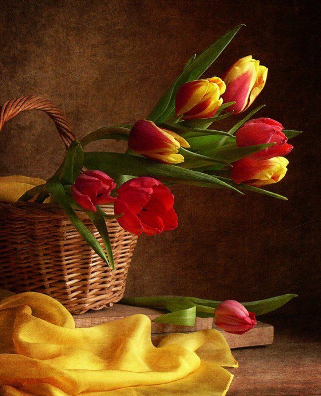 цветы photo preview