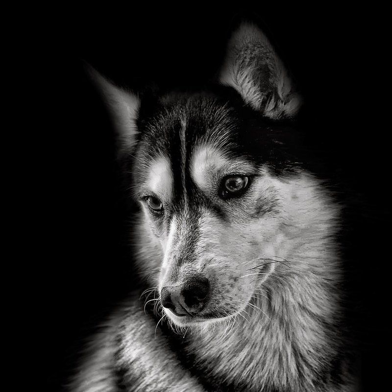 Уходишь? фото превью