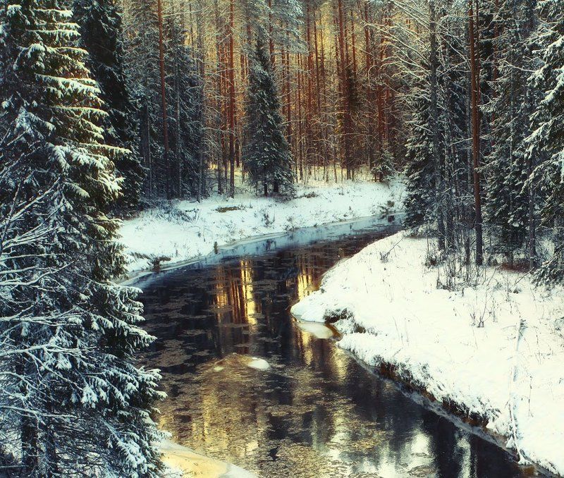 по дороге к Деду Морозу, В.Устюг фото превью