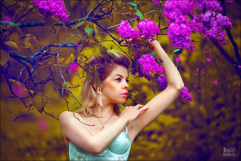 сирень фото превью