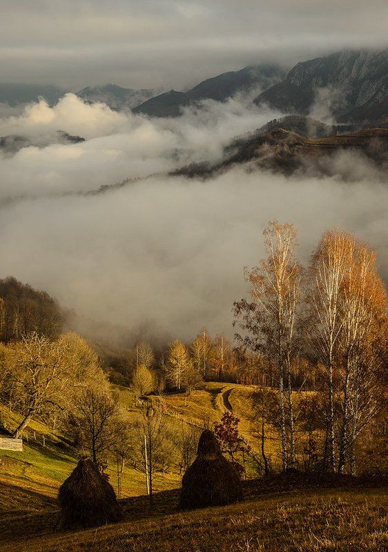 Morning storiesphoto preview