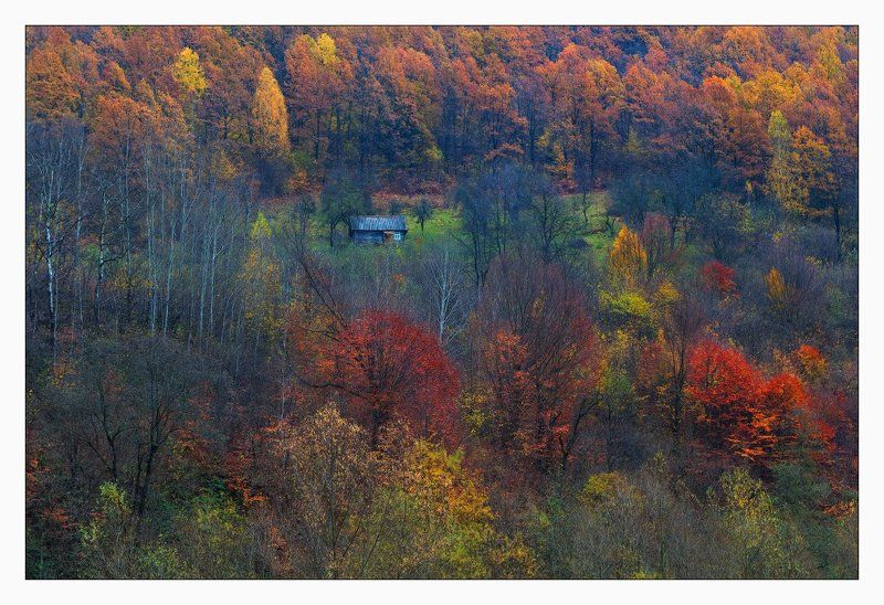 карпаты ДОМ, ГДЕ ОСЕНЬ ЖИВЕТphoto preview