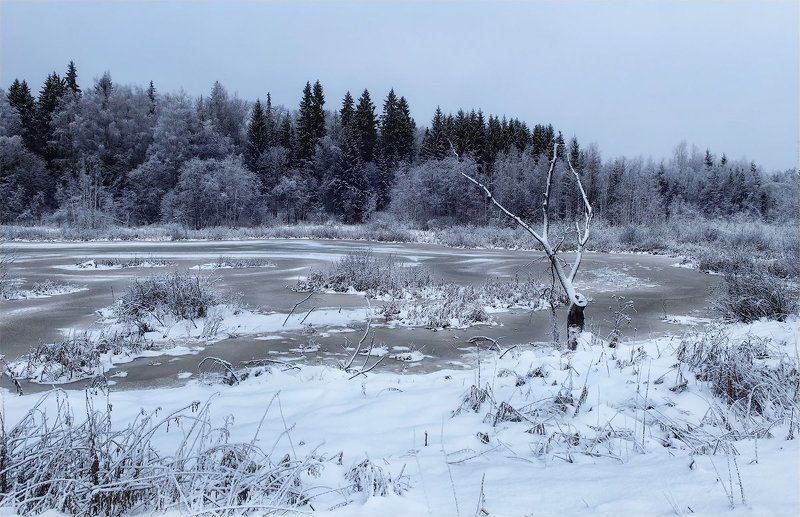 вот и зимаphoto preview