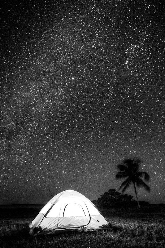 Немного о звездах в Evergladesphoto preview