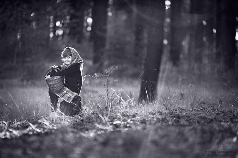 По грибыphoto preview