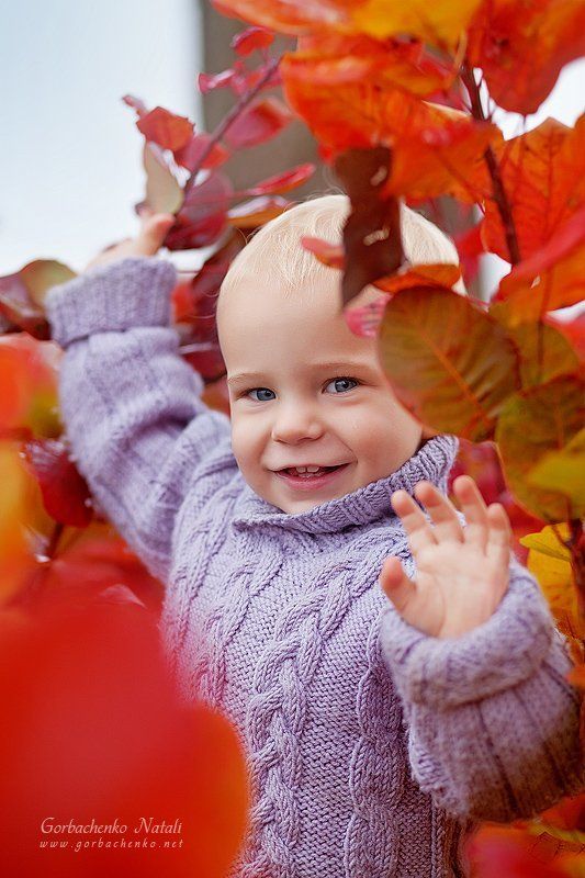 Краски осениphoto preview