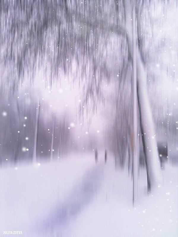 снег, город, зима, улица В объятиях зимы фото превью