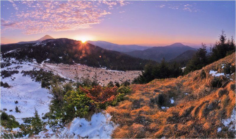 Утренняя зарисовка...photo preview