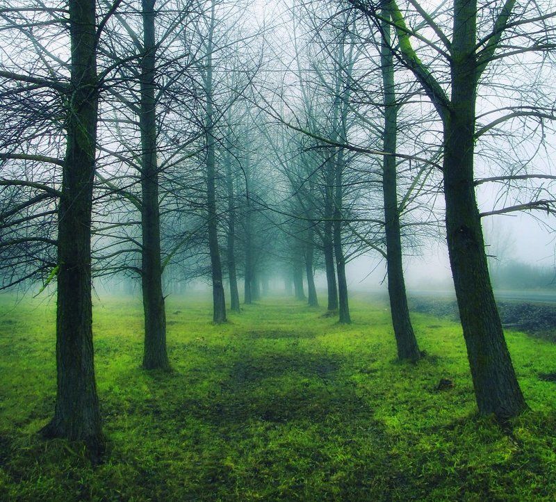 Тихий парк фото превью