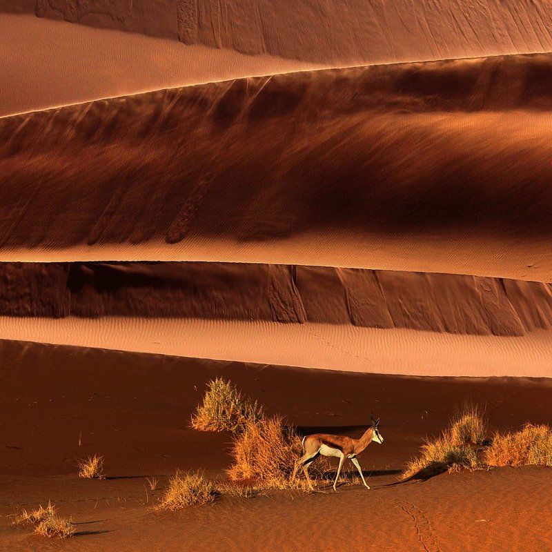 девятый валphoto preview