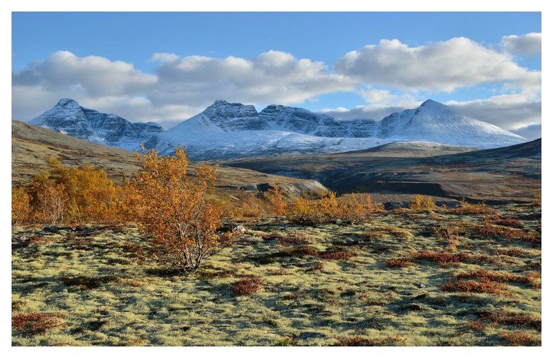 норвегия, золотая осень Норвежская осеньphoto preview