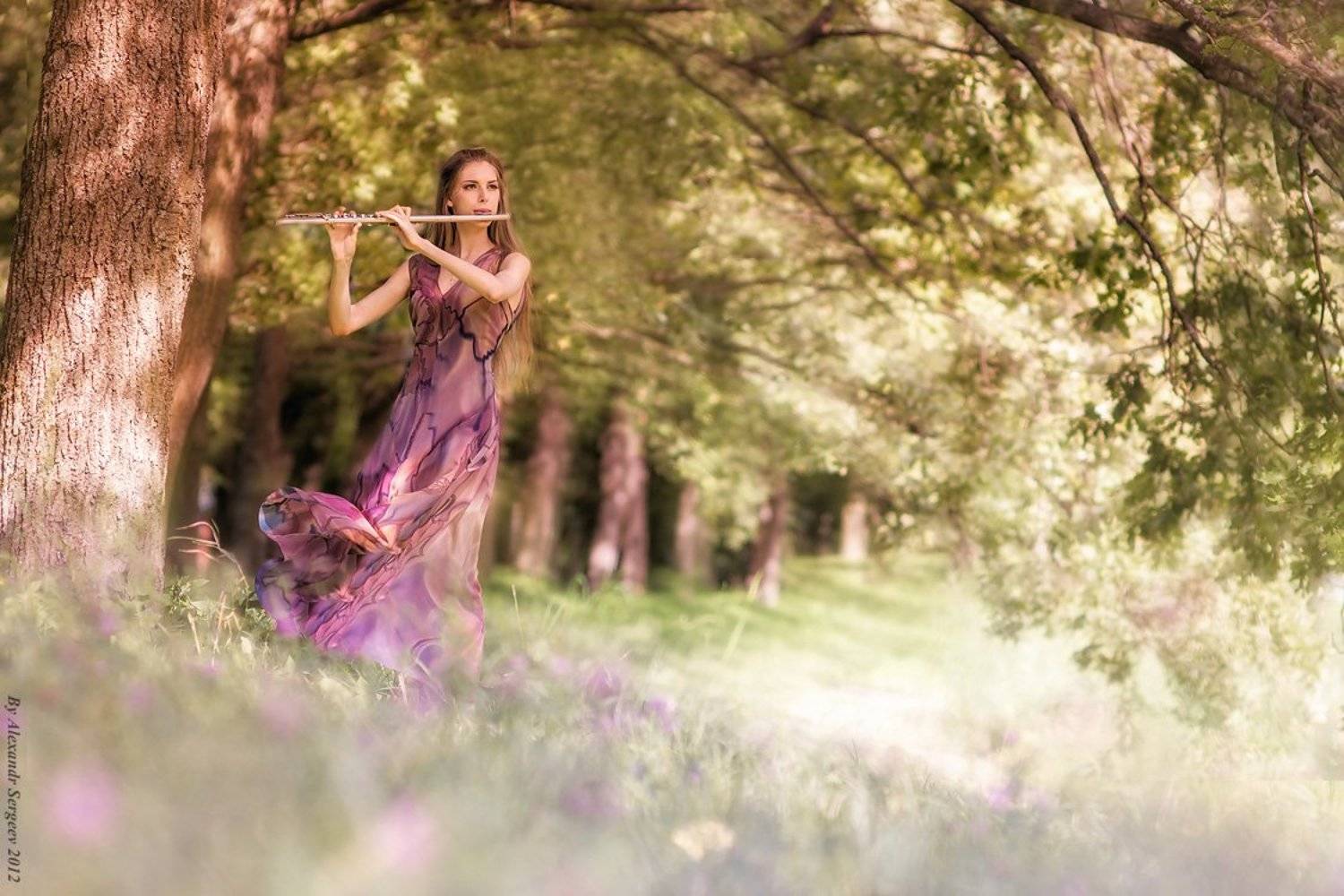 , Александр Сергеев