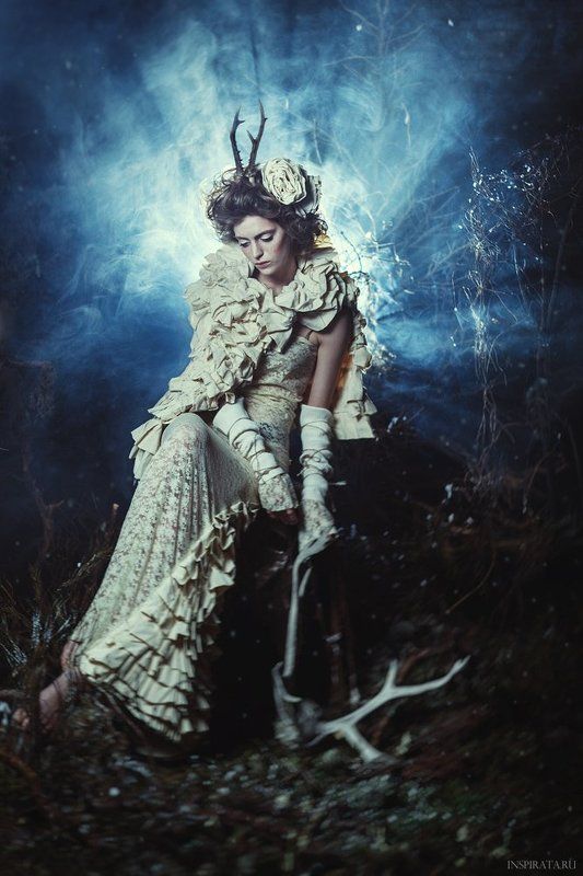 Forest Storyphoto preview