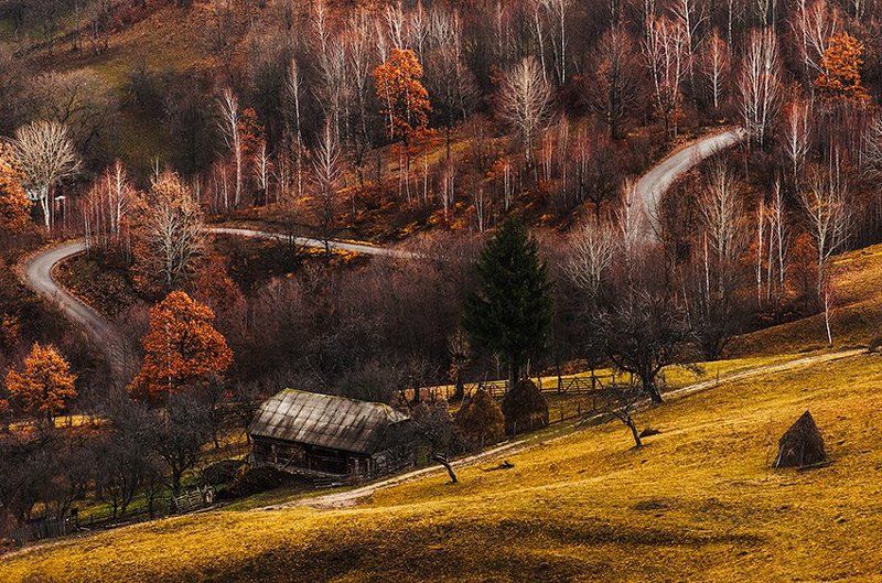 осень, цвета, золотые, дом, утро, деревья Осенние краскиphoto preview