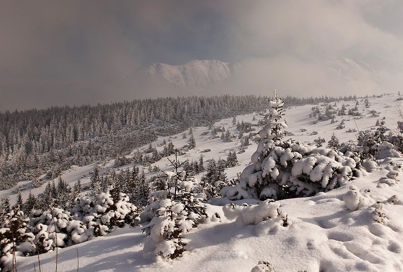 Миражи.photo preview