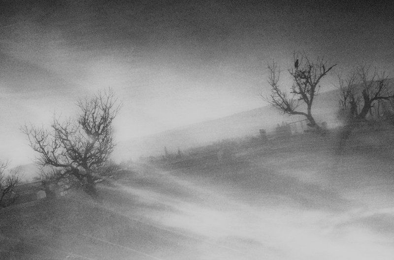 Импрессияphoto preview