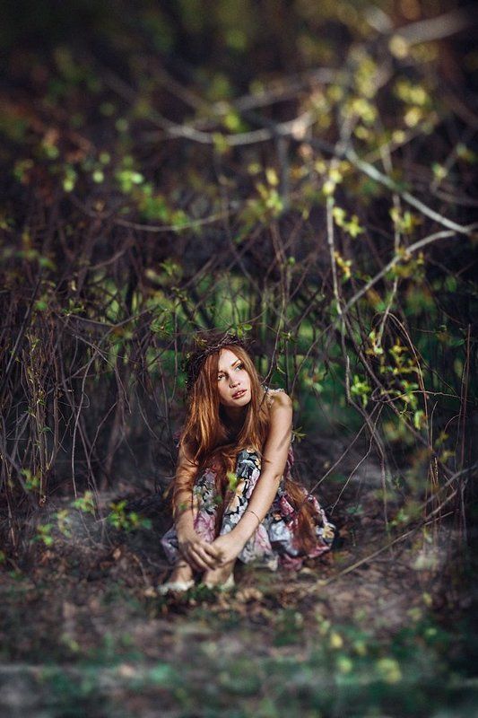 лес Танечкаphoto preview