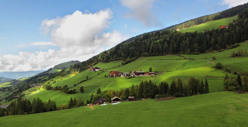 Альпийская зарисовкаphoto preview