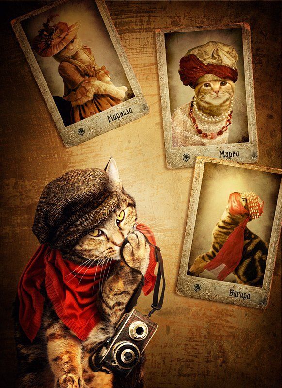 Влюблённый фотографphoto preview