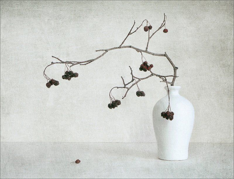 зима Это зимаphoto preview