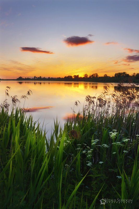 Лето фото превью