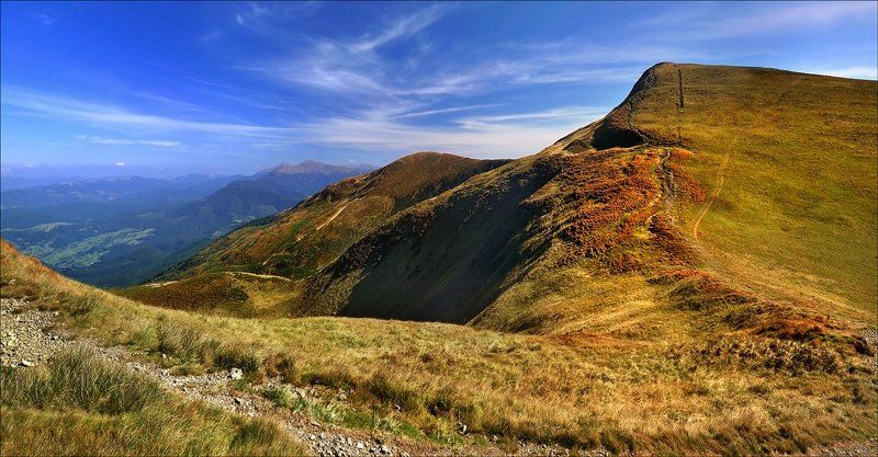 Панорама Карпатphoto preview