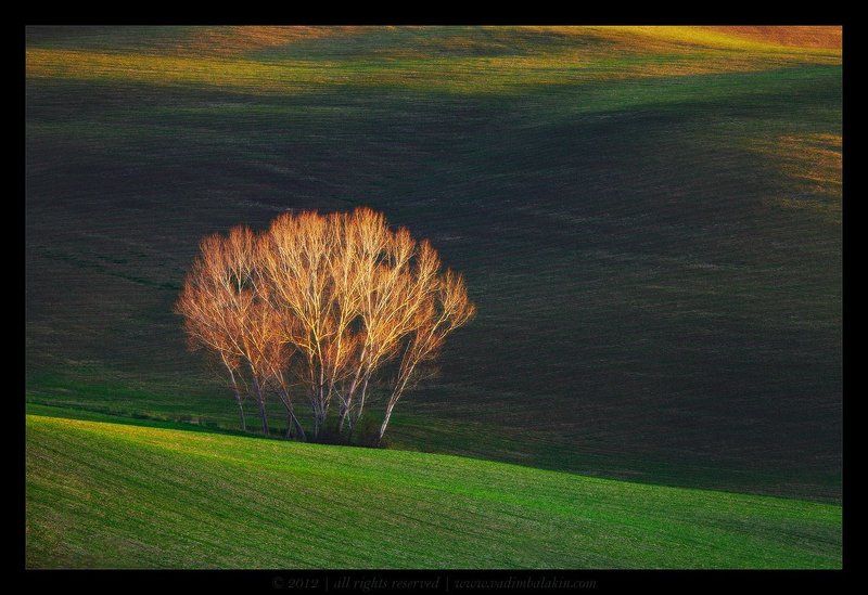 Внутренний свет...photo preview