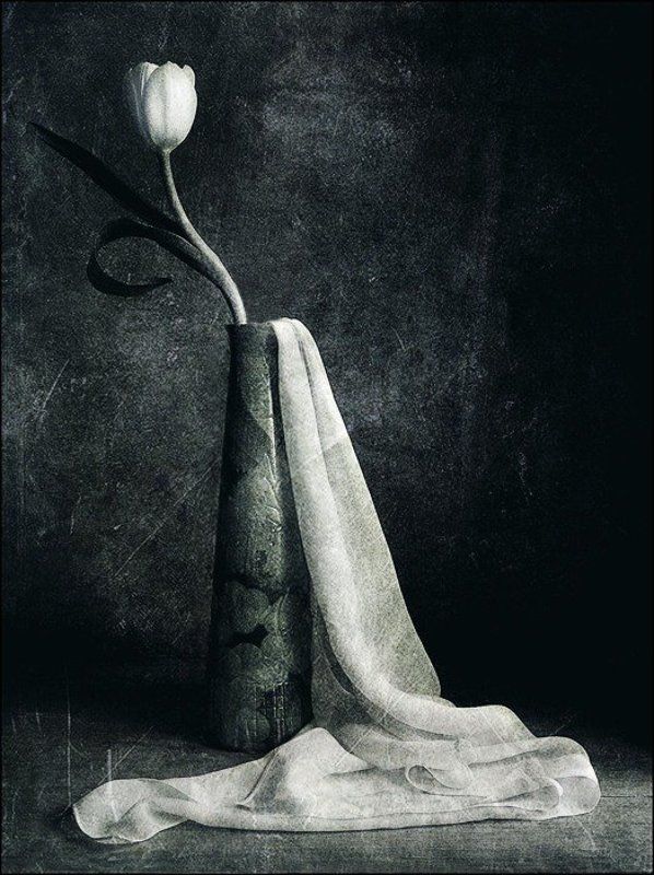 черно-белый *photo preview