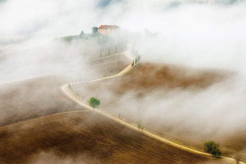 between the fogphoto preview