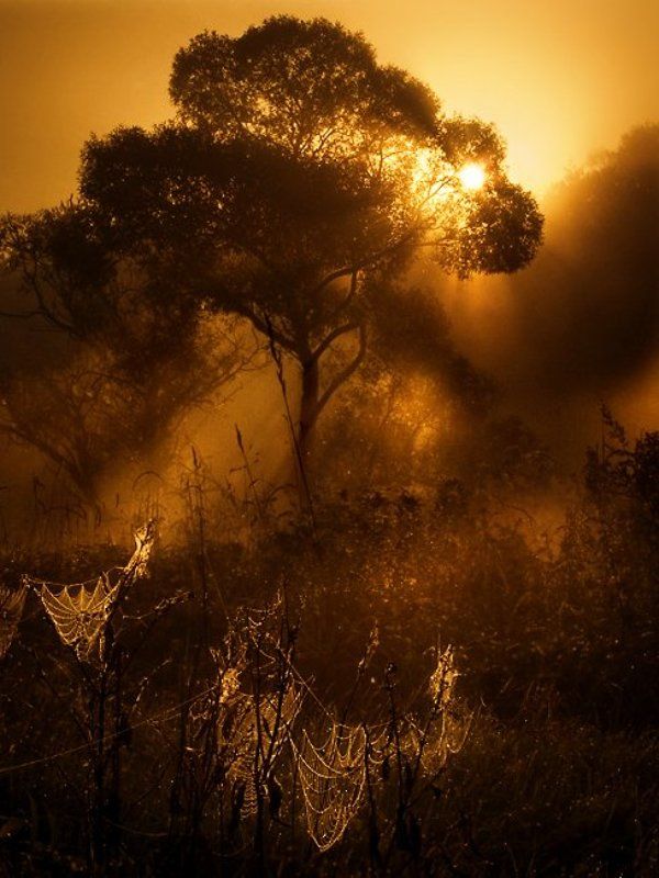 . фото превью