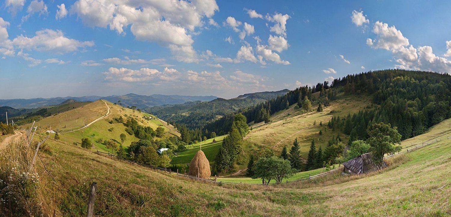 Автор: Дмитриева Наталья , Дмитриева Наталья