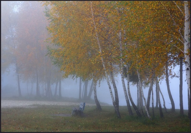 Золото в туманеphoto preview