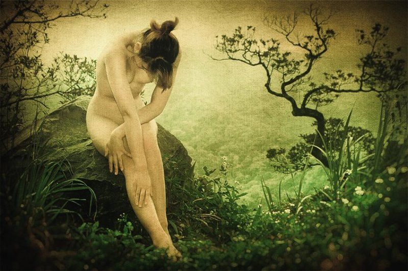 soft grassphoto preview