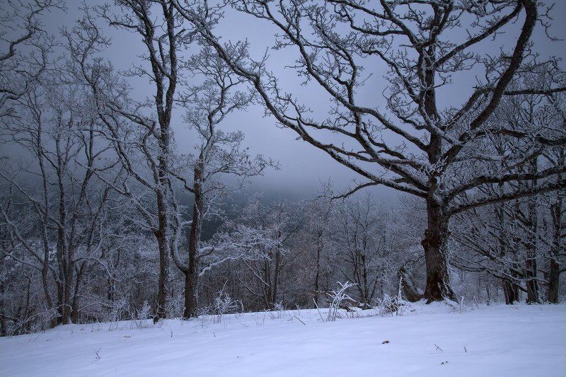 мезмай Морозная графикаphoto preview