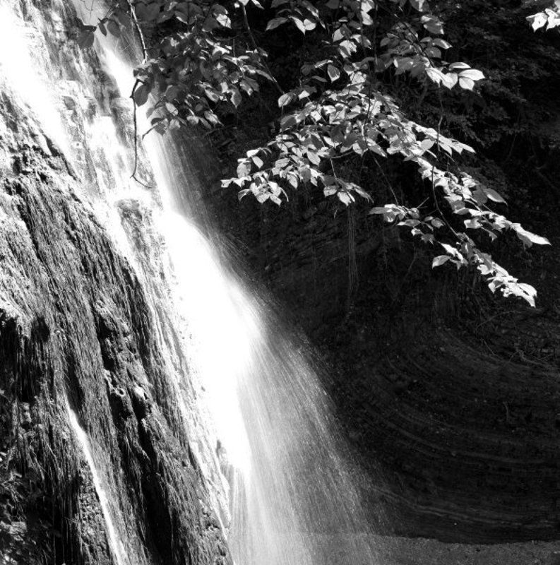 черно-белые картинки природы Россииphoto preview